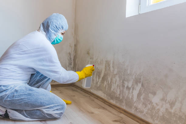 Licensed Mold Removal service in Warrenton, VA - WQB Mold Removal