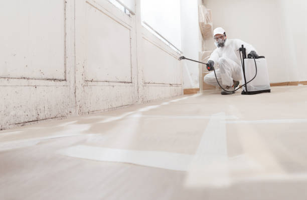 24/7 Emergency Mold Removal experts in Warrenton, VA