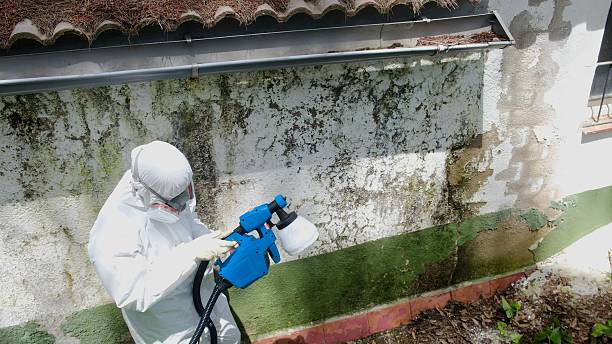 Top rated local Mold Removal specialists in Warrenton, VA